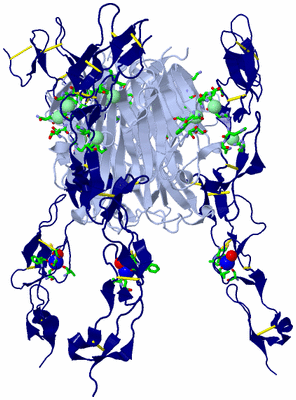 Image Biol. Unit 1 - sites