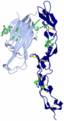 Image Asym. Unit - sites