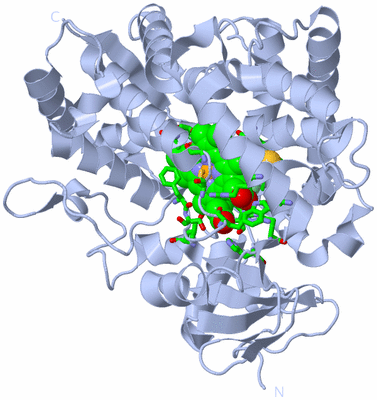 Image Biol. Unit 1 - sites