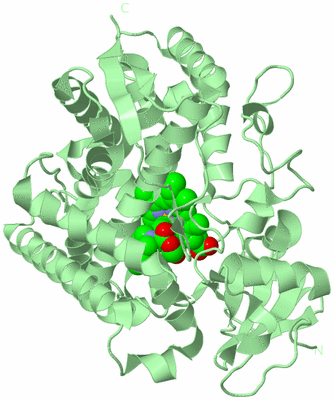 Image Biological Unit 2