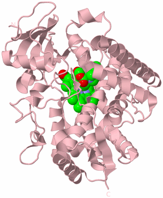 Image Biological Unit 3