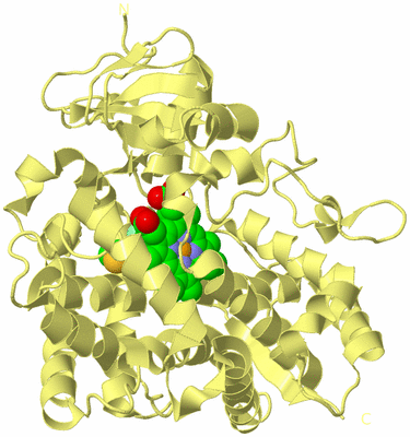 Image Biological Unit 4