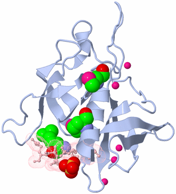 Image Biological Unit 2