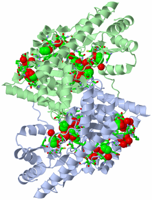 Image Asym./Biol. Unit - sites