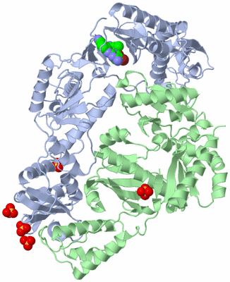 Image Asym./Biol. Unit