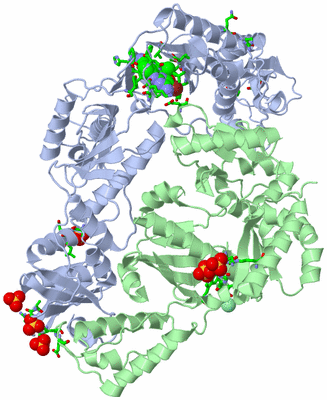Image Asym./Biol. Unit - sites