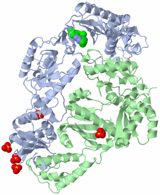Image Asym./Biol. Unit