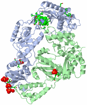 Image Asym./Biol. Unit - sites