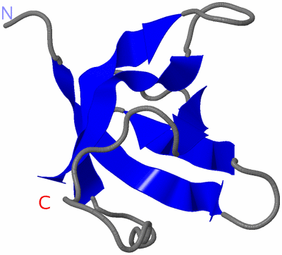 Image NMR Structure - model 1