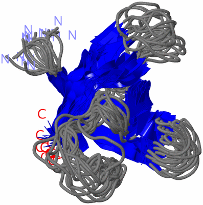 Image NMR Structure - all models