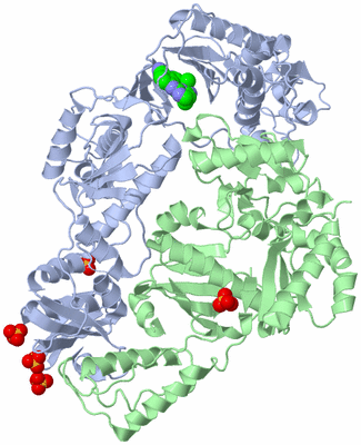 Image Asym./Biol. Unit