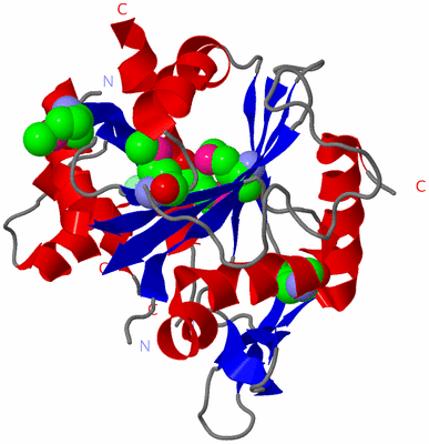 Image Asym./Biol. Unit