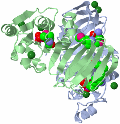 Image Biological Unit 1