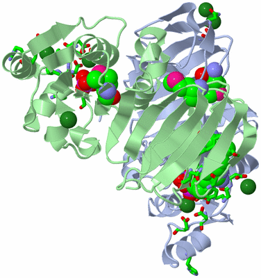 Image Biol. Unit 1 - sites