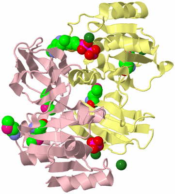 Image Biological Unit 2