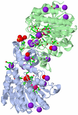 Image Biol. Unit 1 - sites