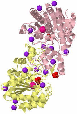 Image Biological Unit 2