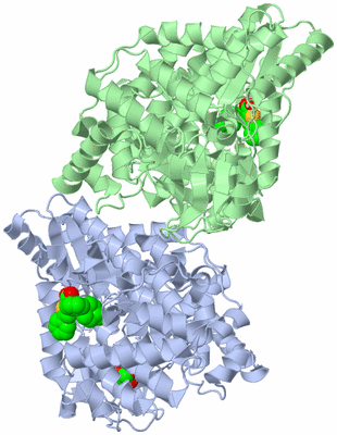 Image Biological Unit 1