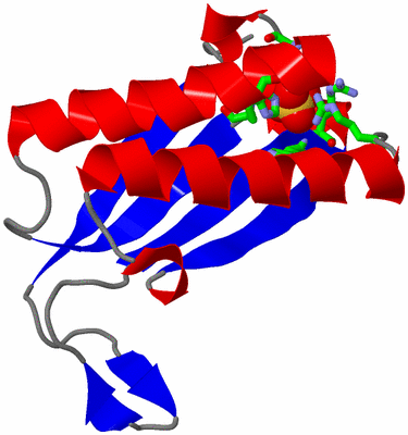 Image Asym. Unit - sites