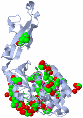 Image Biol. Unit 1 - sites