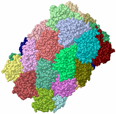 Image Asym./Biol. Unit