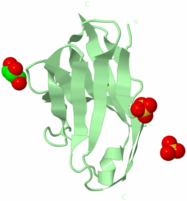 Image Biological Unit 3