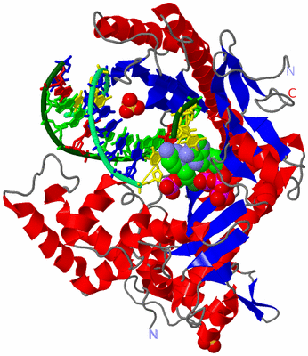 Image Asym./Biol. Unit