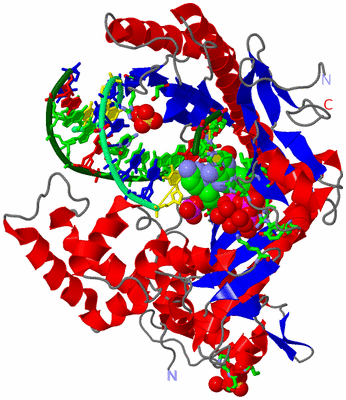 Image Asym./Biol. Unit - sites