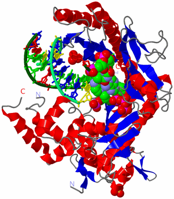 Image Asym./Biol. Unit