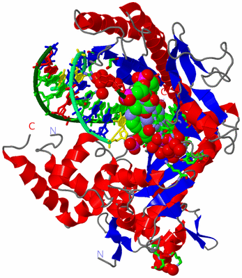 Image Asym./Biol. Unit - sites