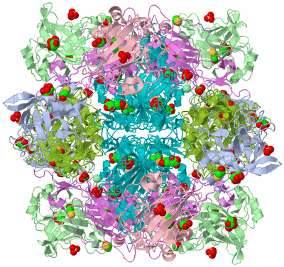 Image Biological Unit 1