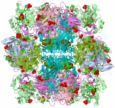 Image Biol. Unit 1 - sites