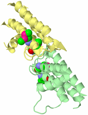 Image Biological Unit 2