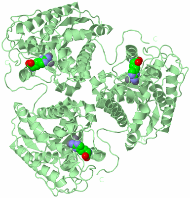 Image Biological Unit 2