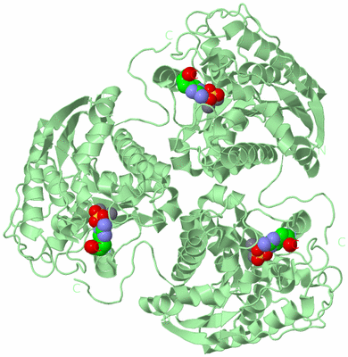 Image Biological Unit 2