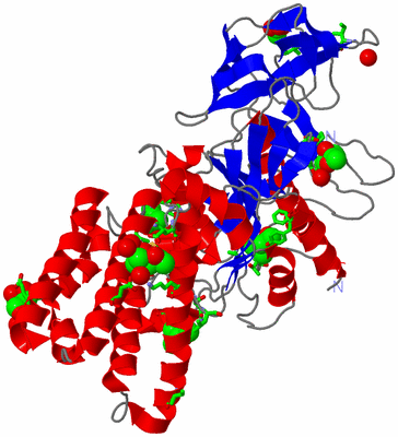 Image Asym./Biol. Unit - sites