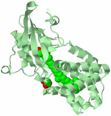 Image Biological Unit 3