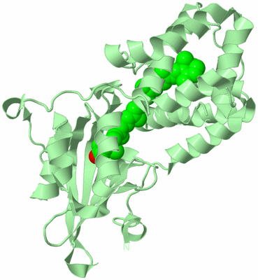 Image Biological Unit 3