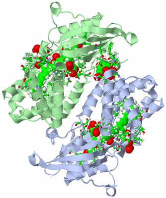 Image Biol. Unit 1 - sites