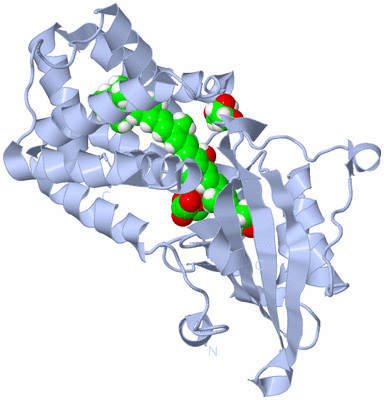 Image Biological Unit 2