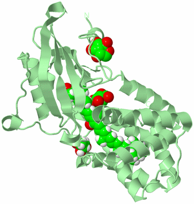 Image Biological Unit 3