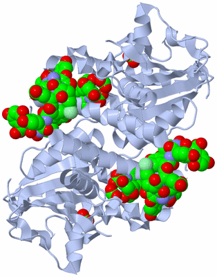 Image Biological Unit 1