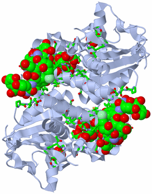 Image Biol. Unit 1 - sites