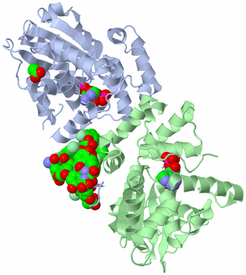 Image Biological Unit 1