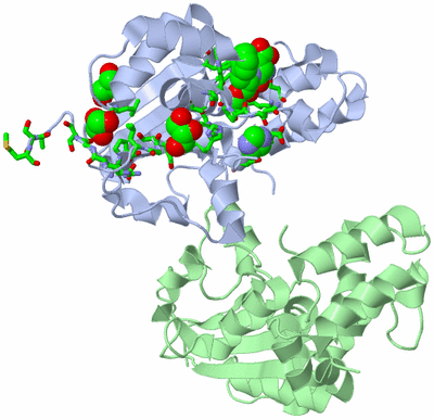 Image Biol. Unit 1 - sites