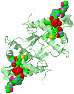 Image Biological Unit 2