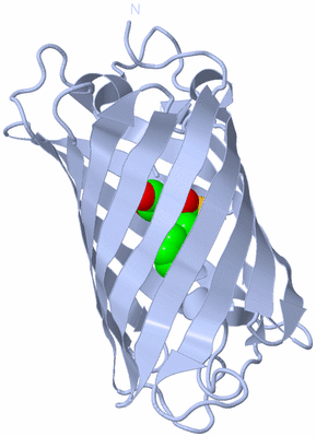 Image Biological Unit 1