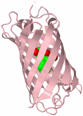 Image Biological Unit 3