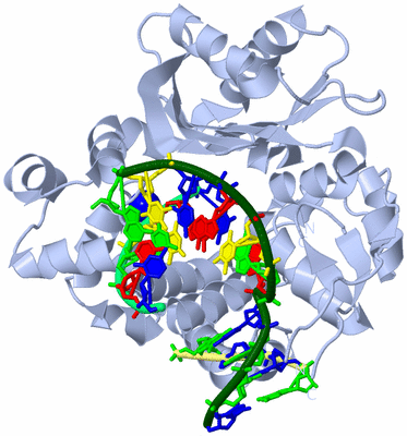 Image Biological Unit 1