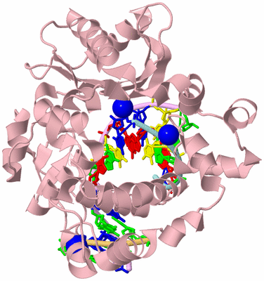 Image Biological Unit 2